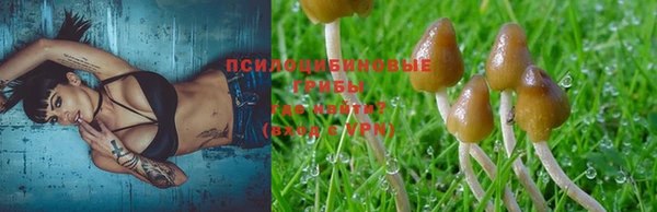 mix Дубна