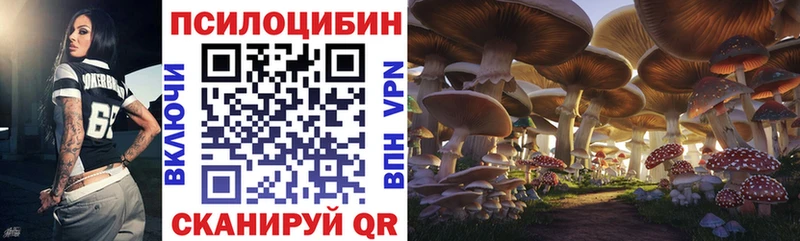 Галлюциногенные грибы Psilocybe  Боровск 